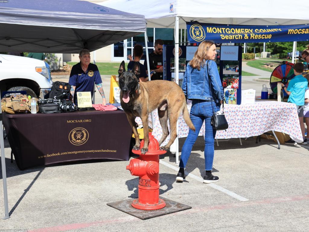 ការកែលំអសុវត្ថិភាពនិងភាពជឿជាក់នៅក្នុងសហគមន៍