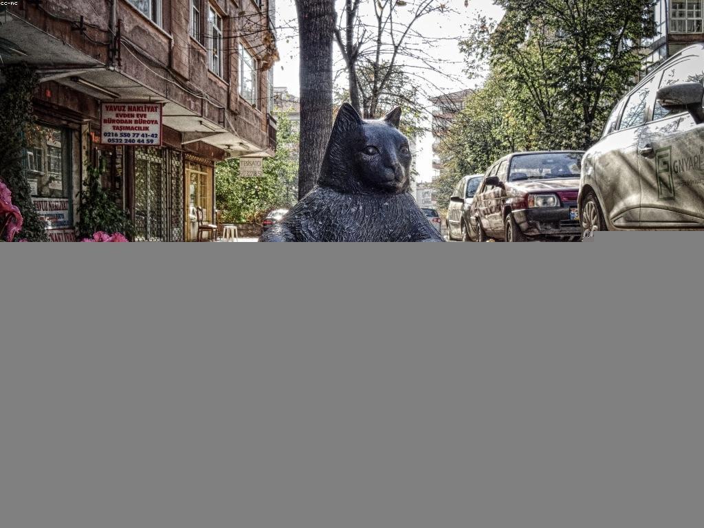 ឱកាសនិងអត្ថប្រយោជន៍នៃការកំណត់អាជីវកម្ម